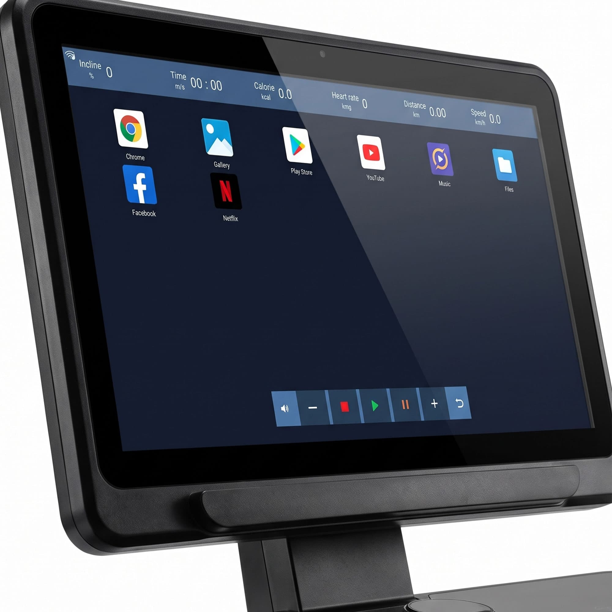 Vue 6