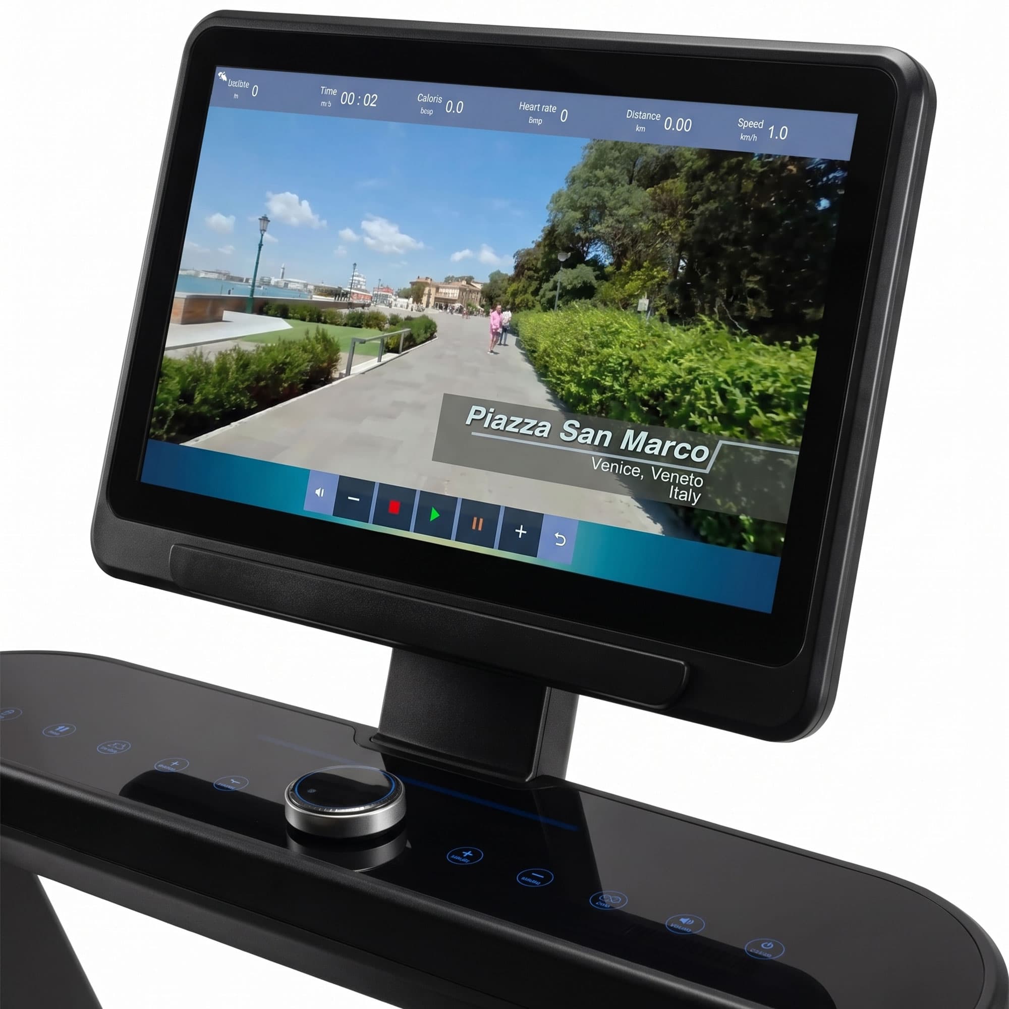 Vue 5